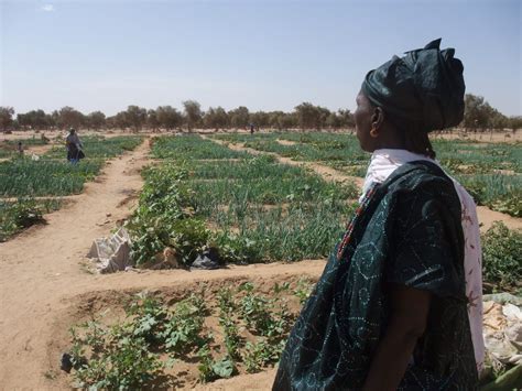 cleaning mud Mauritania|From Mud to Water in Mauritania with P&G .